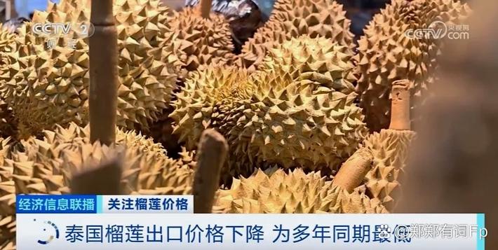 榴莲降至15元一斤-第3张图片-索能光电网