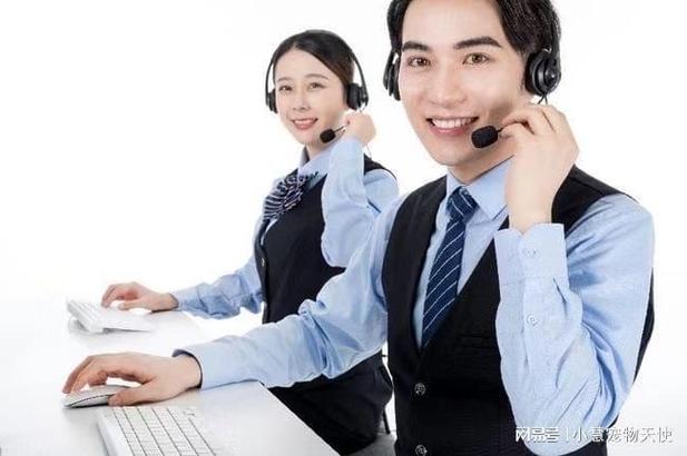 志高小家电客服电话是多少？-第2张图片-索能光电网