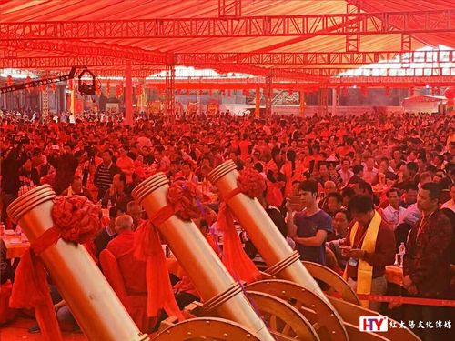 陆河金海岸电话是多少？-第2张图片-索能光电网