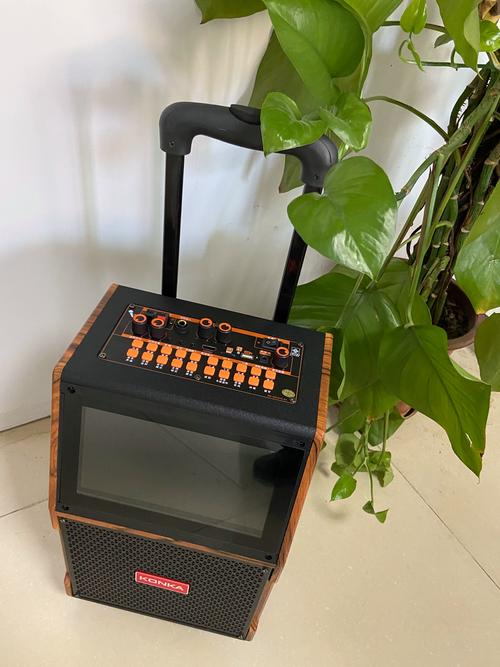 户外音响品牌怎么选才靠谱？-第1张图片-索能光电网