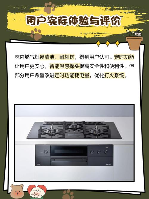 林内燃气灶安装电话是多少？-第3张图片-索能光电网