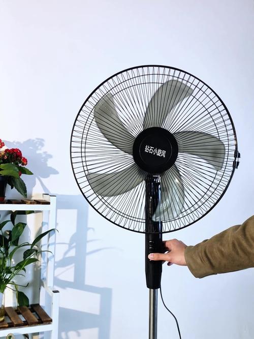 电风扇上面到底叫什么？-第1张图片-索能光电网
