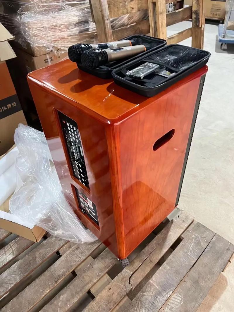 户外音响品牌哪家强？-第1张图片-索能光电网