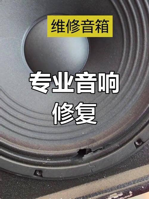 大音响没声?快速维修方法有哪些?-第1张图片-索能光电网 大音响没声?快速维修方法有哪些?-第1张图片-索能光电网