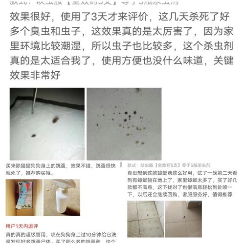 木沙发为何会生蛀虫？-第1张图片-索能光电网