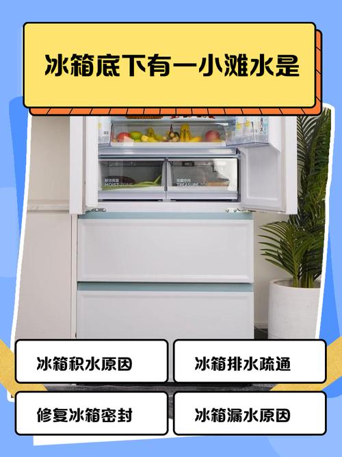 冰箱有水是什么原因导致的？-第2张图片-索能光电网
