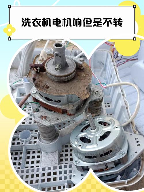 舟山修洗衣机电话多少？-第3张图片-索能光电网