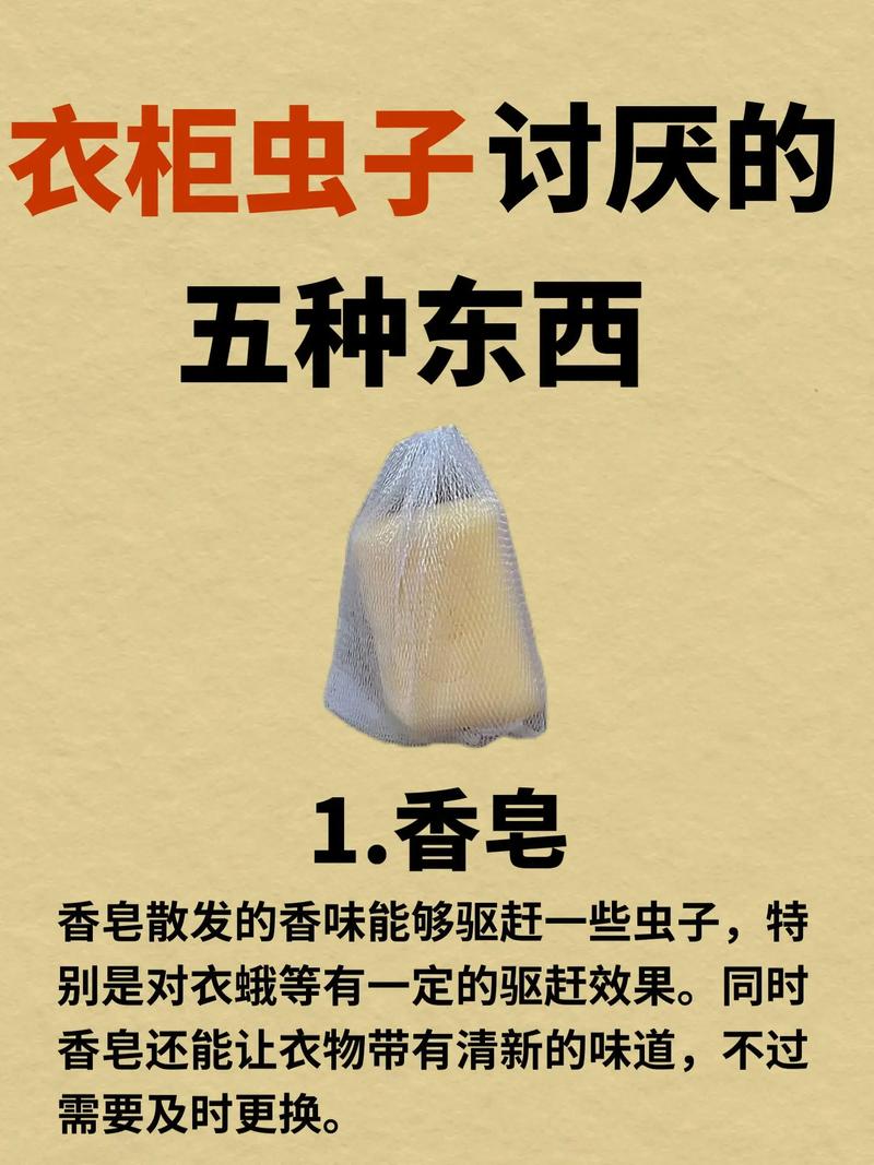 衣柜为何莫名生小虫子？-第1张图片-索能光电网