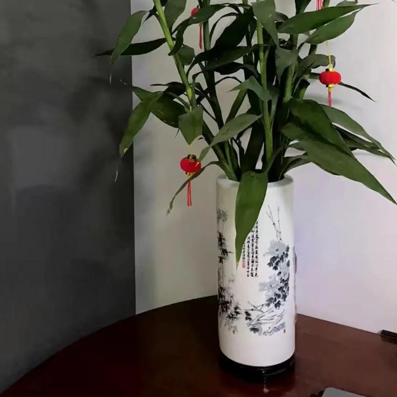 陶瓷花瓶适合养什么？-第3张图片-索能光电网