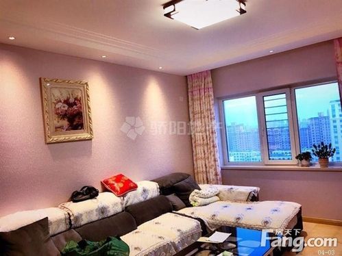 哈尔滨松北急送电话是多少？-第3张图片-索能光电网