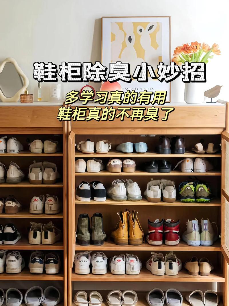 鞋柜除臭用什么方法最有效？-第1张图片-索能光电网