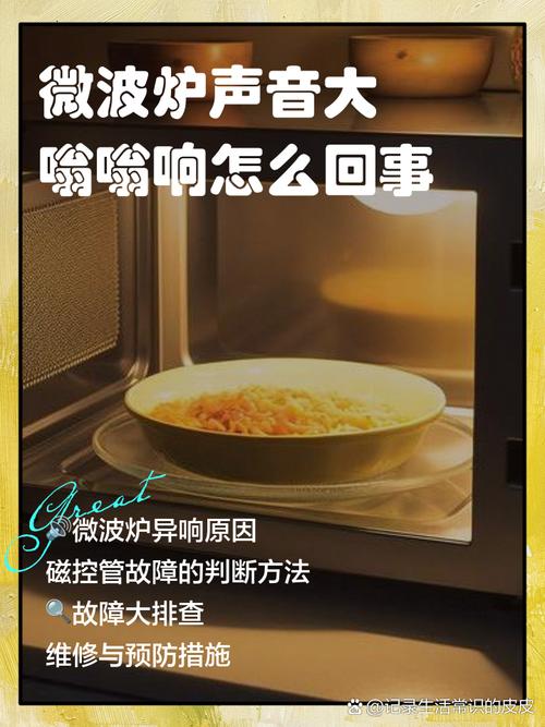 微波炉噪音大，是坏了还是正常？-第1张图片-索能光电网