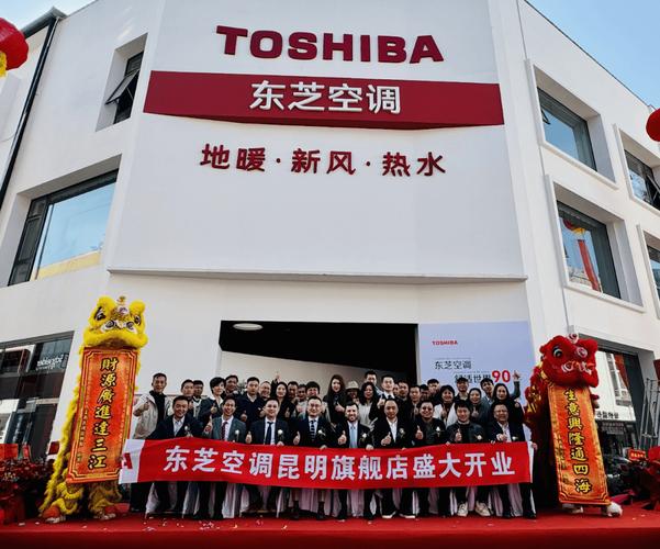 石家庄东芝空调维修电话是多少？-第2张图片-索能光电网