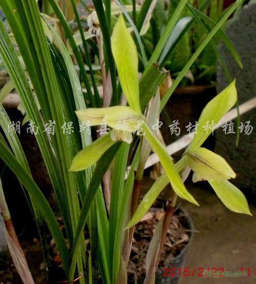 太原春兰售后服务电话是多少？-第2张图片-索能光电网