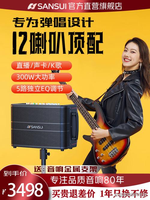 山水牌音响售后电话是多少？-第1张图片-索能光电网