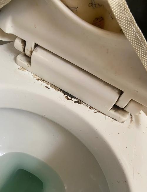 马桶盖老坏怎么修？30字疑问标题，马桶盖频繁损坏，自己动手修复难不难？-第2张图片-索能光电网