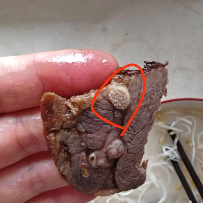 微波炉坏了，还有哪些方法能加热肉类？-第1张图片-索能光电网