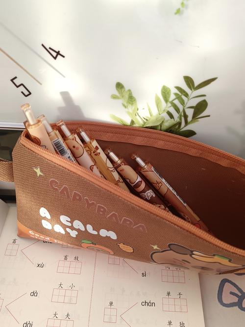 滑笔袋太脏怎么洗才干净?-第3张图片-索能光电网 滑笔袋太脏怎么洗才干净?-第3张图片-索能光电网