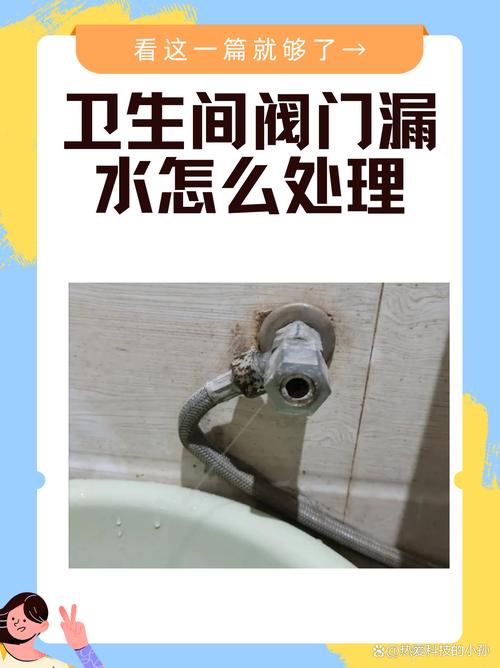 阀门掉进厕所，如何捞出？-第1张图片-索能光电网