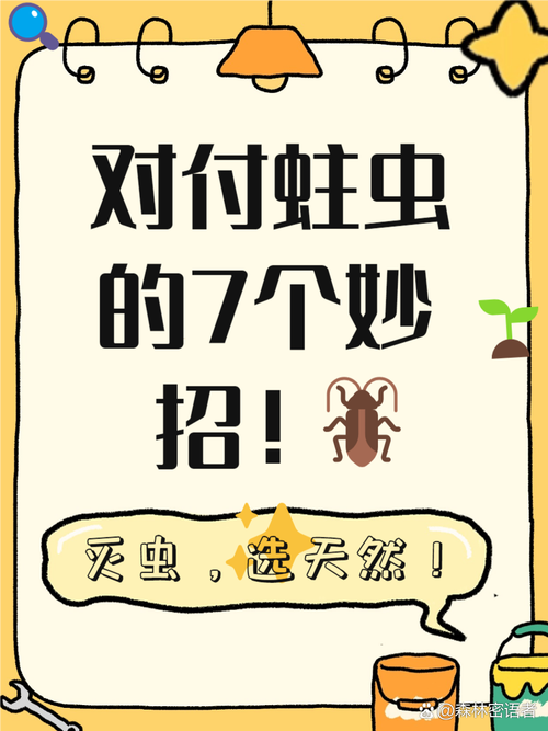 木制饭桌有蛀虫，如何彻底清除防复发？-第2张图片-索能光电网