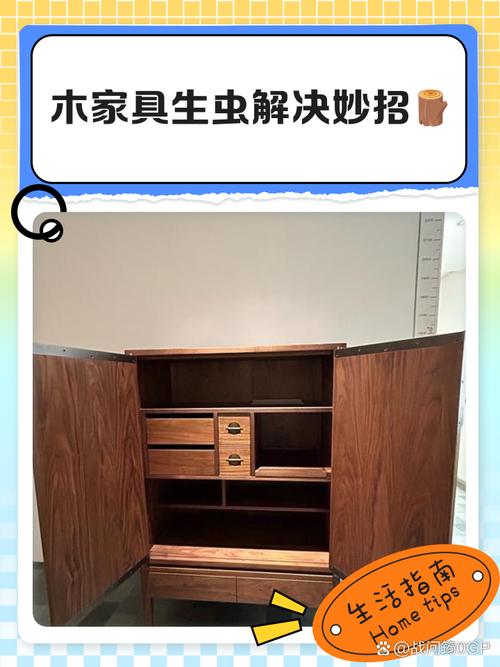 木制饭桌有蛀虫,如何彻底清除防复发?-第1张图片-索能光电网 木制饭桌有蛀虫,如何彻底清除防复发?-第1张图片-索能光电网