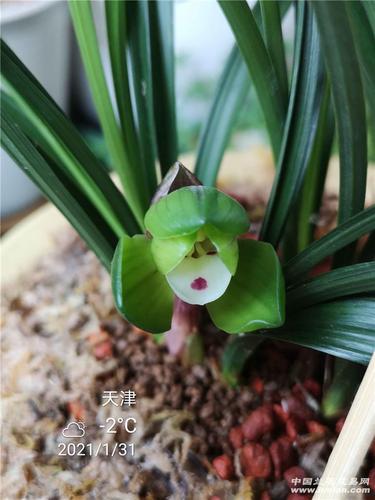 天津春兰售后服务电话是多少？-第3张图片-索能光电网