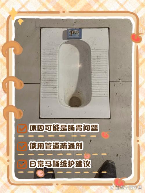 马桶硬屎怎么快速软化？-第2张图片-索能光电网