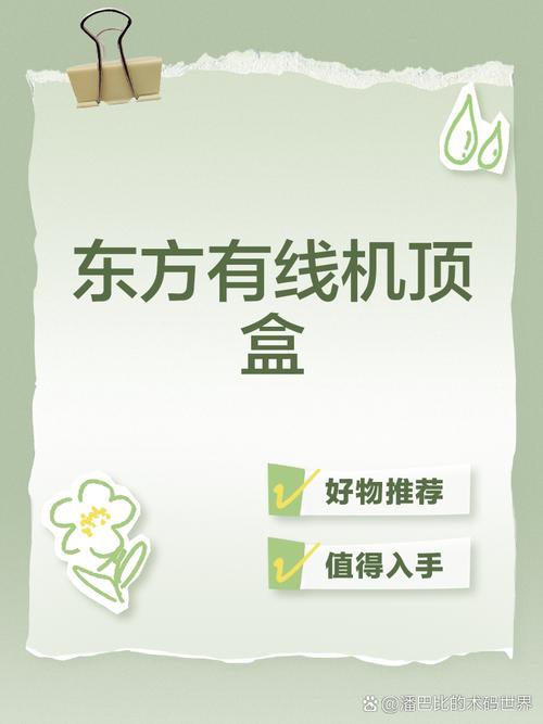 东方有线机顶盒节目如何搜索？-第3张图片-索能光电网