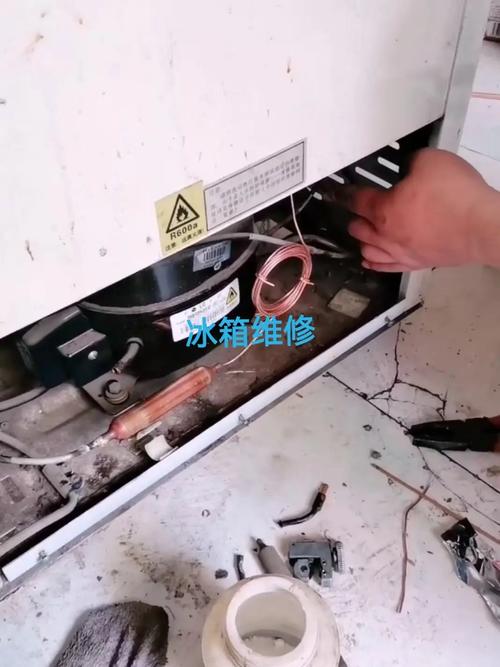 佳木斯冰箱维修电话2025最新是多少？-第3张图片-索能光电网