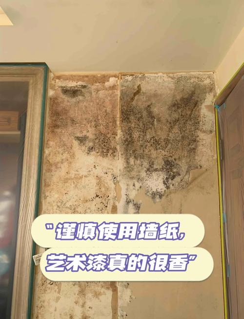 墙霉爆发怎么办？2025最新除霉妙招来了！-第1张图片-索能光电网