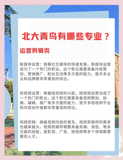 盘锦北大青鸟学校电话是多少？2025年最新联系方式？-第2张图片-索能光电网