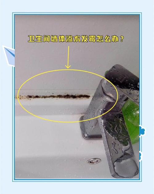 墙体渗水发黑，怎么解决？-第2张图片-索能光电网