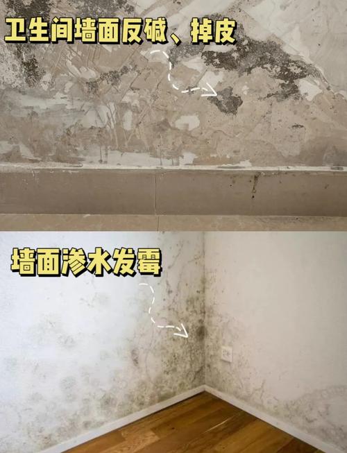 墙体渗水发黑，怎么解决？-第1张图片-索能光电网