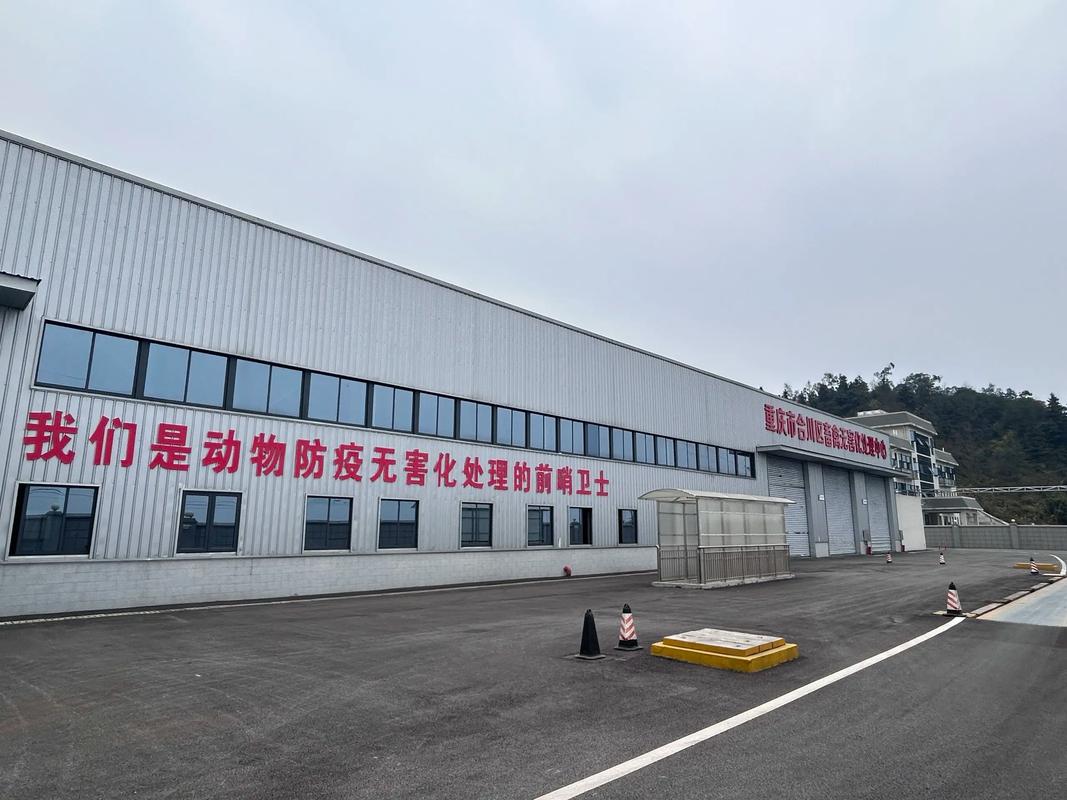 重庆市整治中心电话是多少？-第3张图片-索能光电网