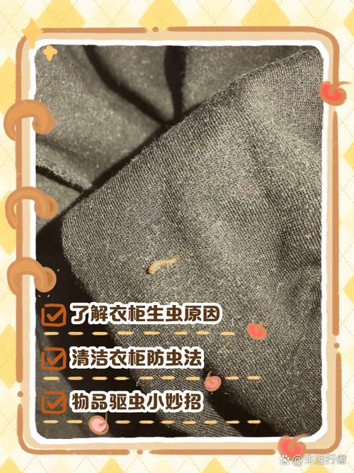 衣柜里的小虫怎么去除?-第3张图片-索能光电网 衣柜里的小虫怎么去除?-第3张图片-索能光电网