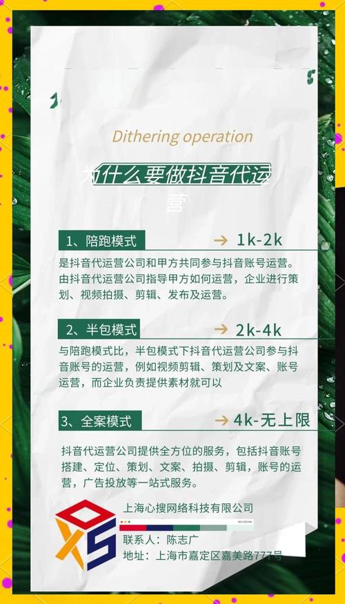 抖音粉丝在线如何稳？自助点赞量策略指南？-第2张图片-索能光电网