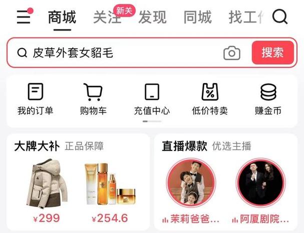 快手低价平台如何平衡稳定服务与业务增长？-第1张图片-索能光电网