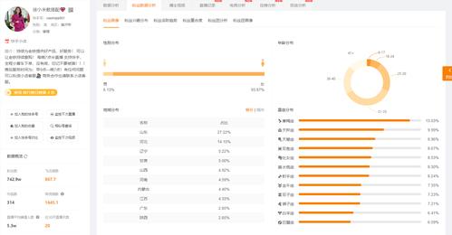 快手粉丝实时服务与24小时自助如何实现？-第3张图片-索能光电网