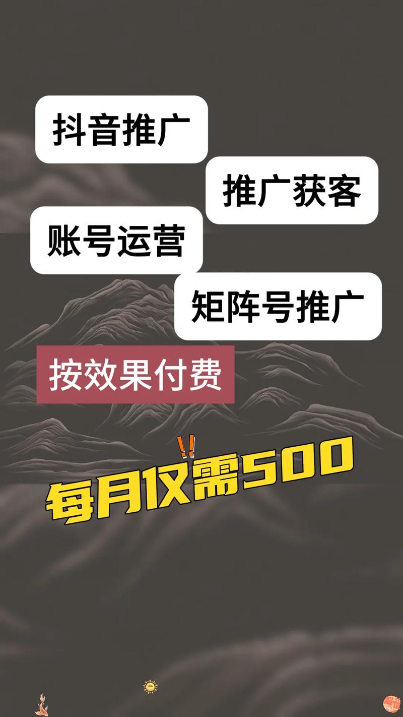 抖音点赞低价与粉丝策略，靠谱还是陷阱？-第3张图片-索能光电网