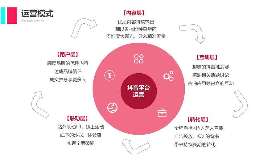 抖音粉丝实时策略与赞稳定指南，如何实现？-第2张图片-索能光电网