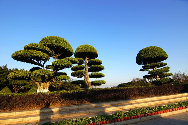 厦门索尼电视售后电话是多少？-第3张图片-索能光电网