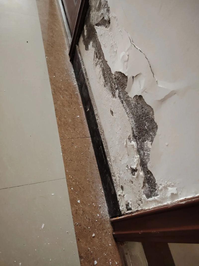 墙上掉灰怎么处理才彻底？-第3张图片-索能光电网