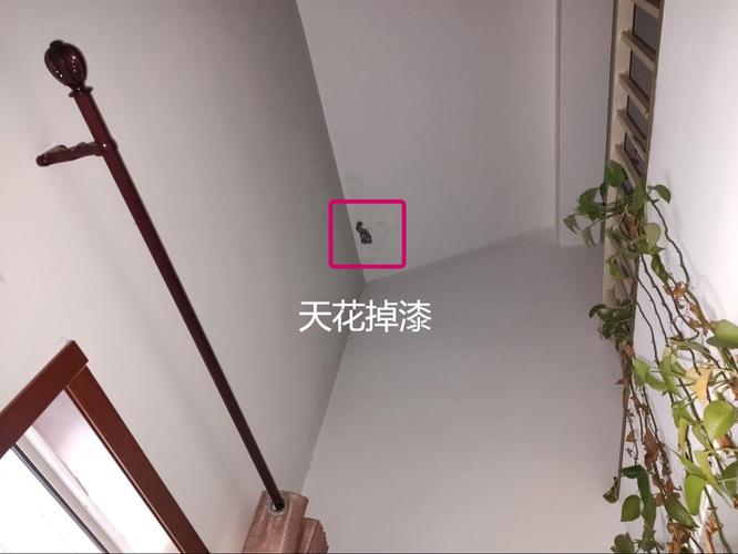 墙角壁纸翘起怎么办？-第3张图片-索能光电网