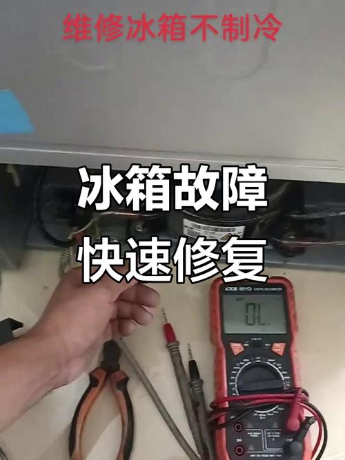 大庆修冰箱电话多少？-第3张图片-索能光电网