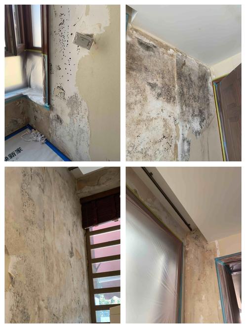 墙纸发霉了，怎么快速去除不伤墙？-第2张图片-索能光电网
