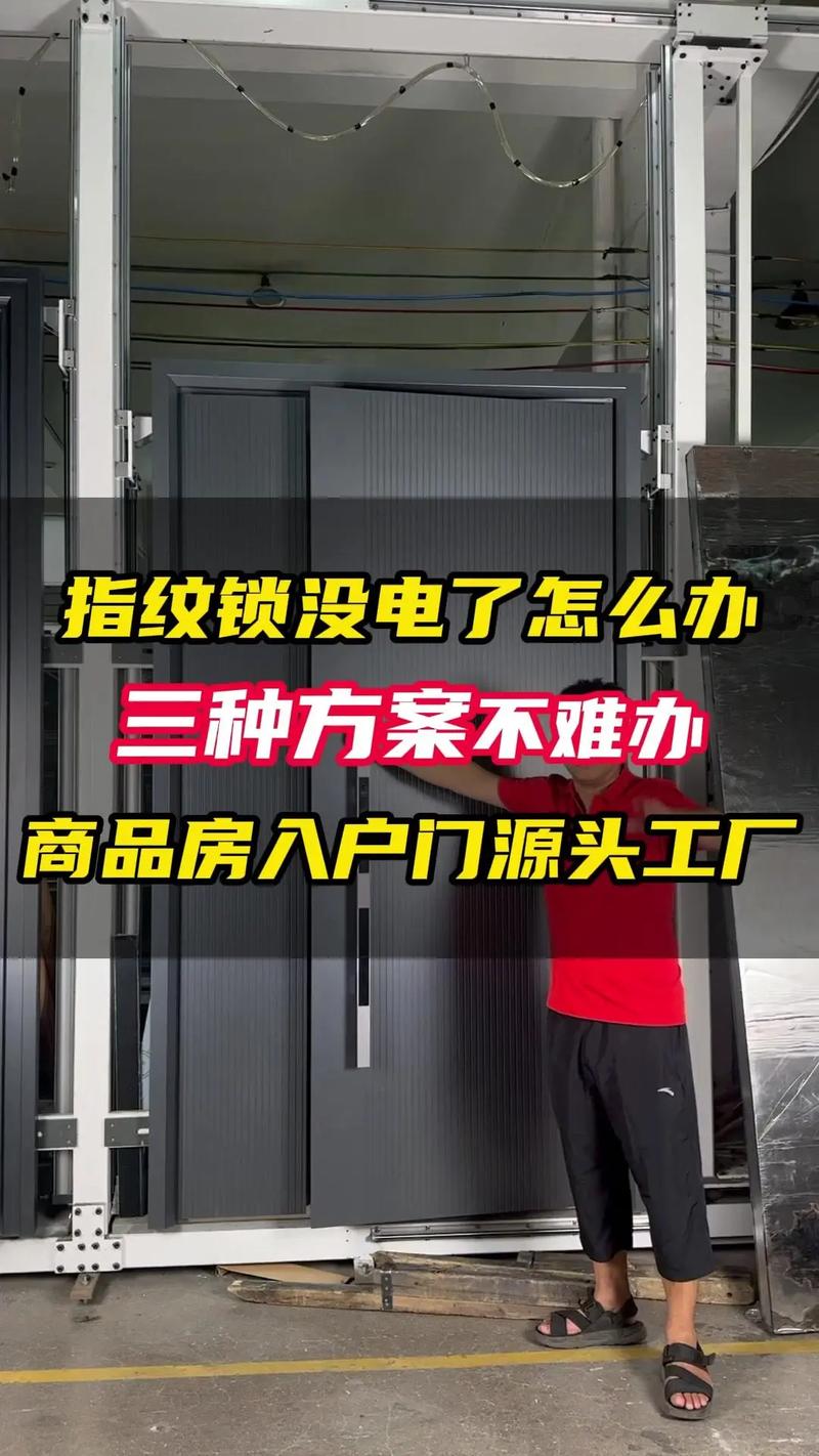 指纹门断电了怎么开？-第2张图片-索能光电网