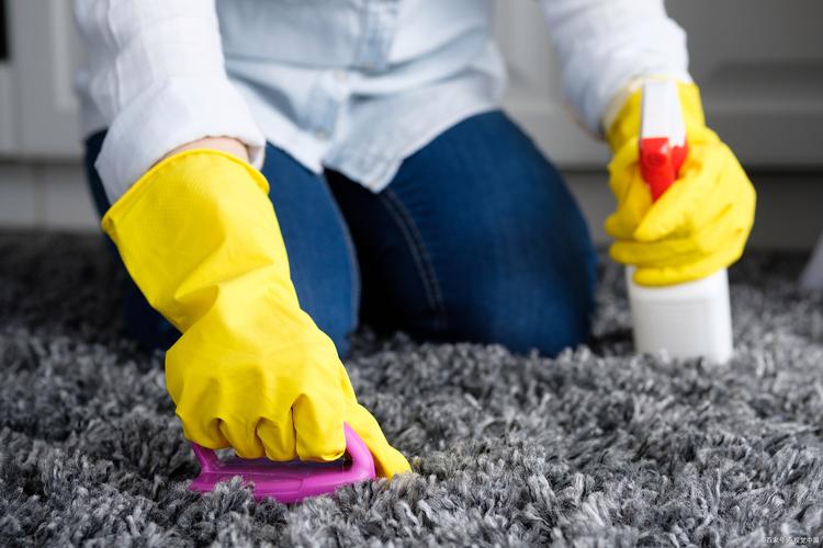 整张地毯在家怎么清洗才干净又方便?-第3张图片-索能光电网 整张地毯在家怎么清洗才干净又方便?-第3张图片-索能光电网