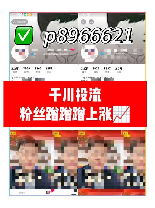 抖音粉丝自助下单平台与ks人气平台有何区别？-第3张图片-索能光电网