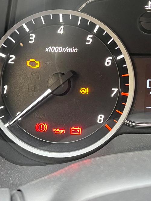 熊猫屏 灰屏故障-第3张图片-索能光电网