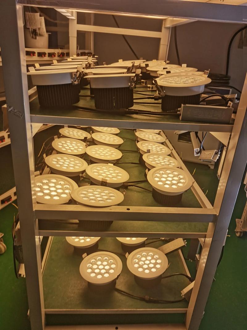 高邮艺术灯具厂有何独特工艺或创新设计？-第3张图片-索能光电网